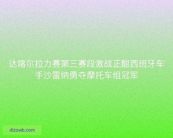 达喀尔拉力赛第三赛段激战正酣西班牙车手沙雷纳勇夺摩托车组冠军