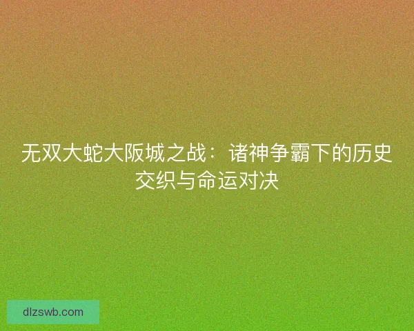 无双大蛇大阪城之战：诸神争霸下的历史交织与命运对决